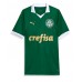 Camisa de time de futebol Palmeiras Estevao Willian #41 Replicas 1º Equipamento 2024-25 Manga Curta